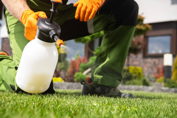 Pest Prevention Services in Westwood, KY