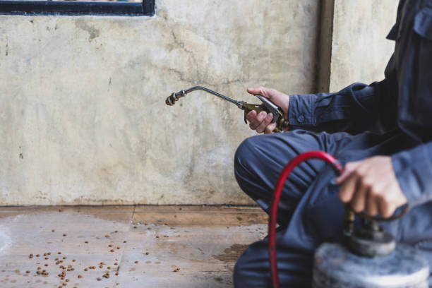 Best Pest Control Near Me  in Westwood, KY