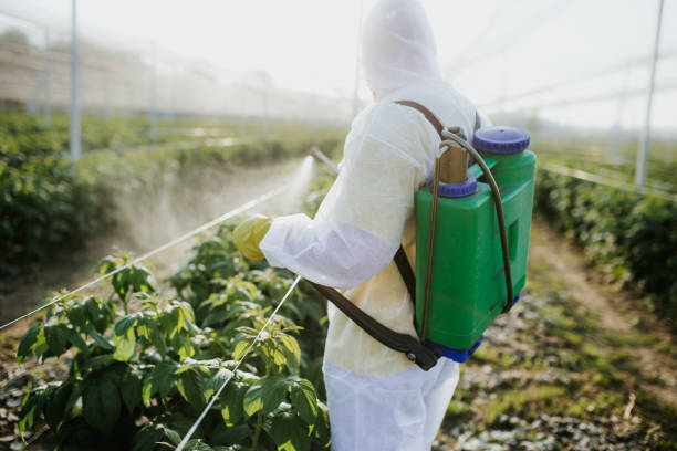 Best Best Pest Control Companies  in Westwood, KY